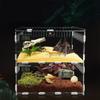 Insect Feeding Box Acrylic Clear Breeding Case for Spiders Reptiles Lizards Centipedes Small Snake 2 Size