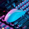 Periféricos para computadores – Ratos e teclados