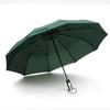 Pulia 10-Rib Automatic Folding Umbrella