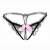 [Free Shipping] Sexy Thong, Hot Lace Embroidered Transparent Seduction Underwear, Women's Low Waist Hollowed Out T-back