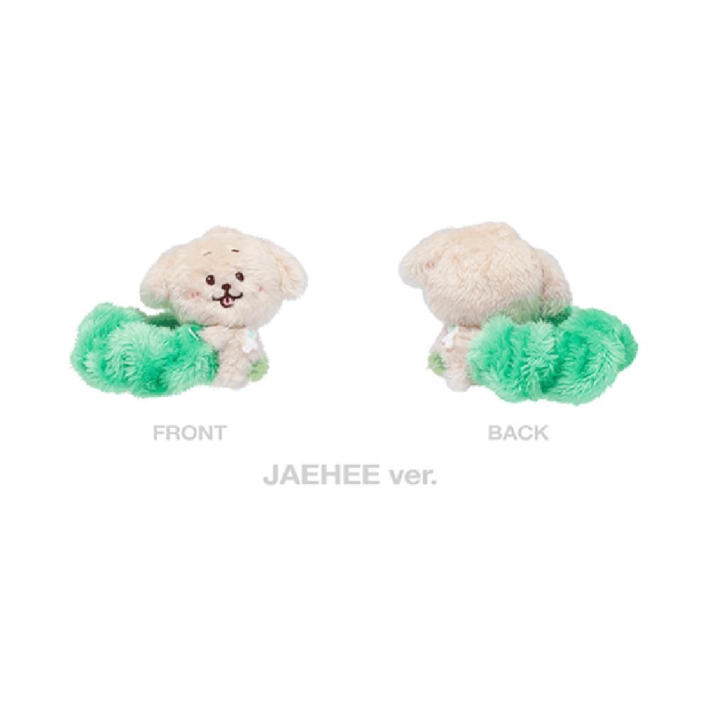 Pre-order 2025 NCT WISH 1st Concert Tour OUR WISH Scrunchie