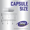 Sports, Creatine Monohydrate, 120 Veg Capsules (0.75 G Per Capsule)