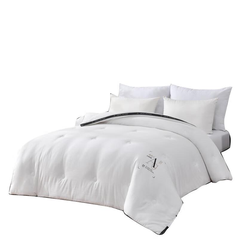

Faunen FN-B6058 Class A Silver Ion Winter Comforter