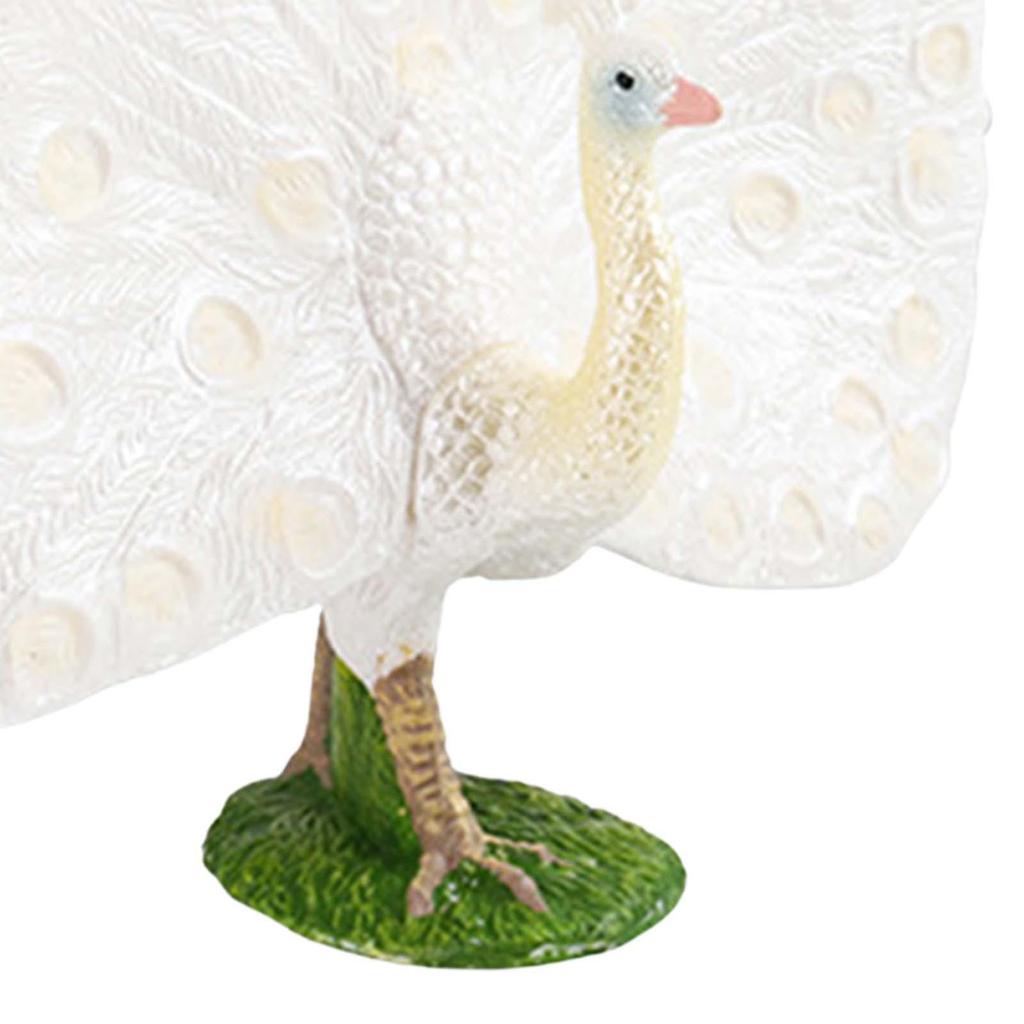 Wild Animal Figure Education Toy Preschool Decorative Realistic Peacock Model Handpainted for Office Home Decoration Children