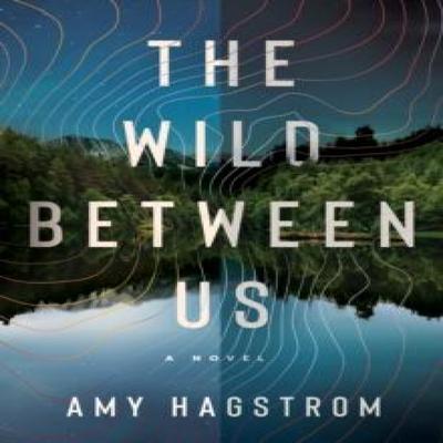 The Wild Between Us by Amy Hagstrom Paperback Book 9781662511486