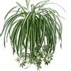 Artificial Chlorophytum flor de seda orquídeas planta montaje en pared simulación decoración de ratán