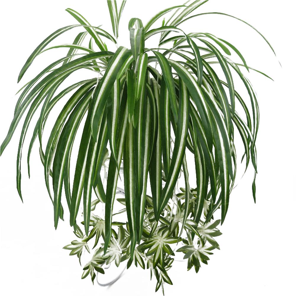 Artificial Chlorophytum flor de seda orquídeas planta montaje en pared simulación decoración de ratán