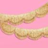 Scalloped Fringe Banners for Glittering Birthday Parties Glittering Decoration Photo Booth Backdrop PET Party Deck