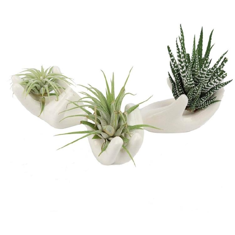 3Pcs Air Plant Holder Ceramics Airplants Holder Small Container Pots Hand Shape
