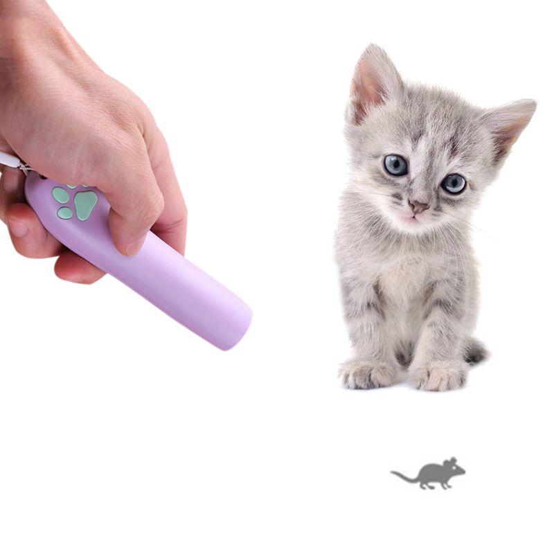 cat chase toy
