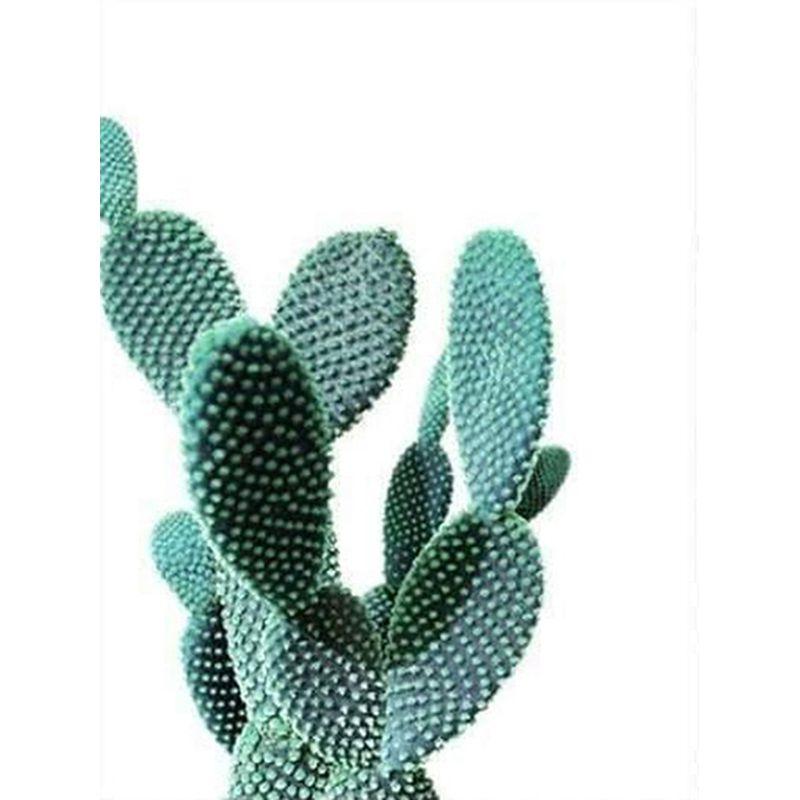 5D Round Diamond Painting Succulent Plants Diamond Embroidery Full Round Mosaic Flowers Handmade Home Decoration