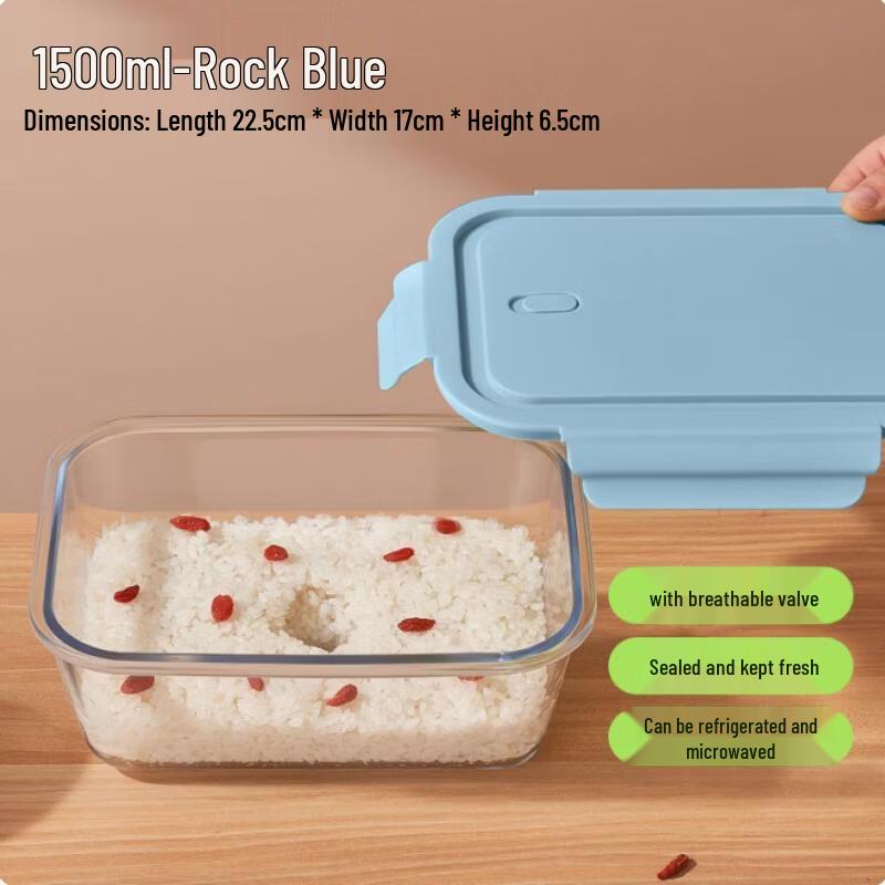 Large Glass Food Storage Container