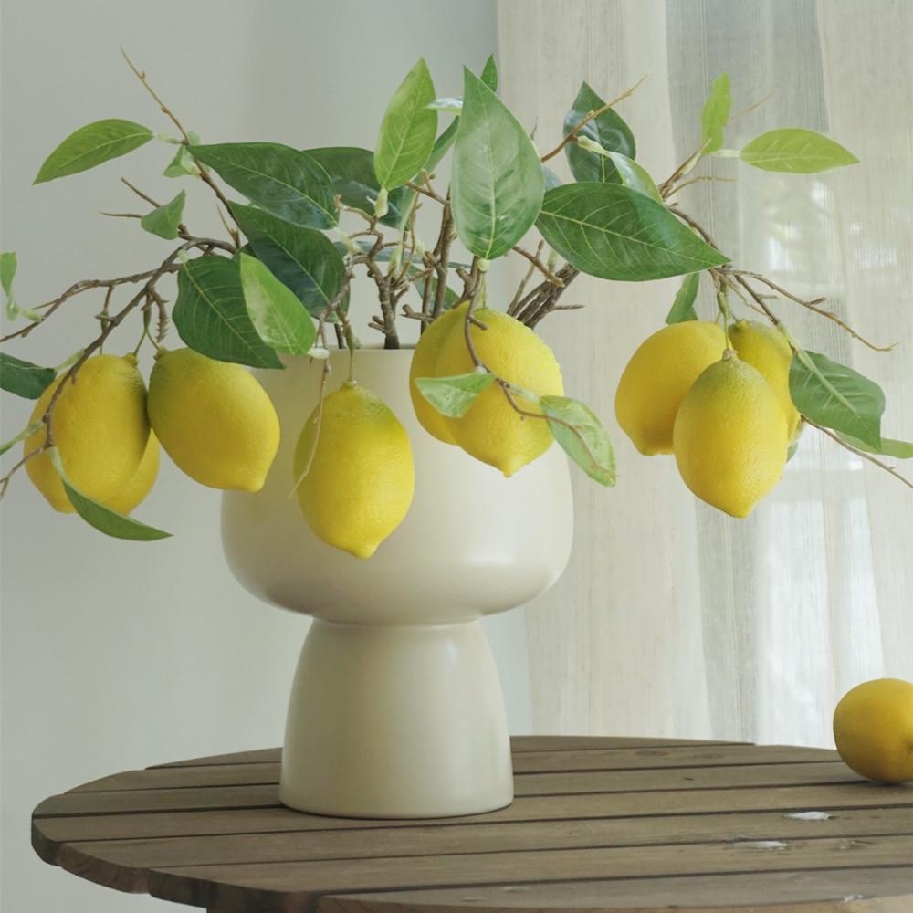 Composizione Floreale Fresca Stile Foresta con Rami di Limone per Decorazione Soggiorno o Vetrine