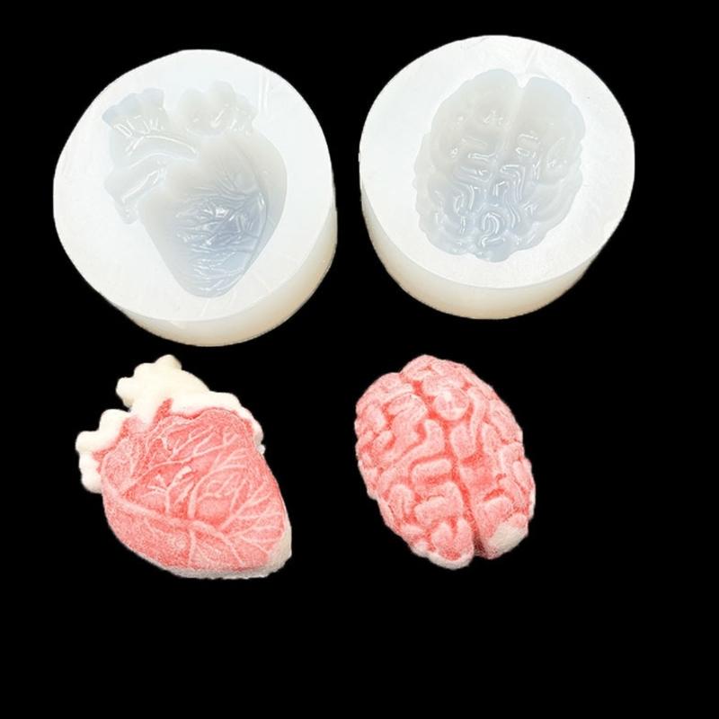 Realistic Brain/Organ Silicone Mold For Medicals Education Art Craft Professional Handmade Jewelry Making Mould