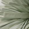 Used 9212 Carmen 7950 Pastel Light Green Charm Key Ring, Unused Logo Ring 13732 Veil Fizz W Unisex from Japan AUTHENTIC