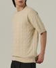 ANALOG MOOD Cable Round Short Sleeve Knit (Beige)
