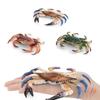 Lifelike Three-eyed Crab Figurine For Children Perfect For Educational Play And Collecting