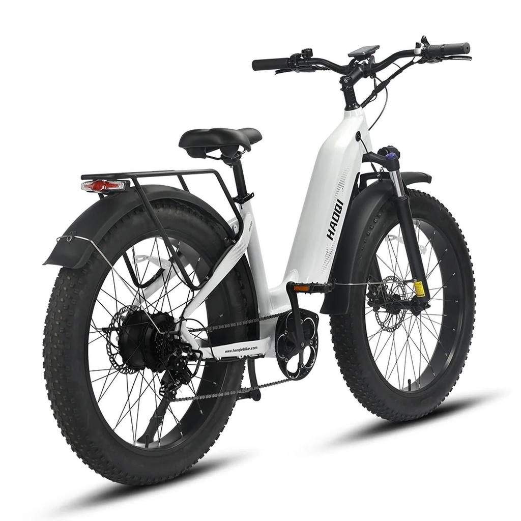 HAOQI Eagle 1.0 All-Terrain Adult EBike 26 Inch Off-Road Tires Electic Bicycle 48V20Ah Battery 250W Motor Outdoor Electic Bike