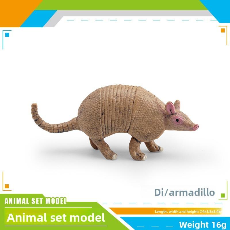 

Animal Rabbit Armadillo Macaque And Panda Figures Pvc Set With Detailed Designs For Educational Play And Learning Brown Armadillo