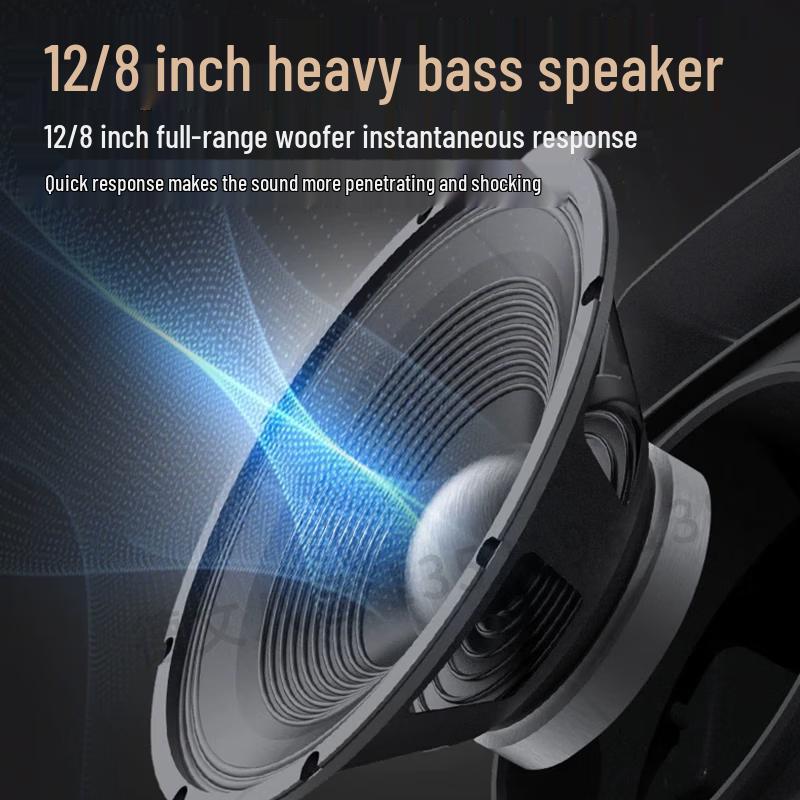 Malata 12-inch Portable Karaoke Speaker CN Plug (adapter Included) (CN Version)