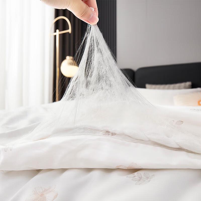 Tang Na Home Maulbeerseide Frühling/Herbst Steppdecke