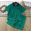 Summer Baby Boy Clothes Set Children Lapel Tshirts and Shorts 2pcs Suit Teenage Letter Short Sleeve Top Bottom Outfit Tracksuits