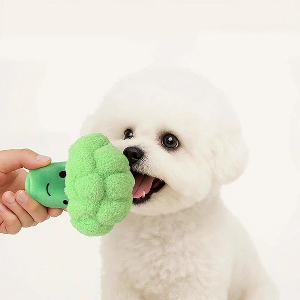 Peluş Brokoli Köpek Oyuncağı, Büyük Köpekler ve Corgiler İçin Sesli Çiğneme Oyuncağı, Can Sıkıntısı Gideren Arkadaş Oyuncak, Evcil Hayvan Diş Kaşıma Malzemeleri
