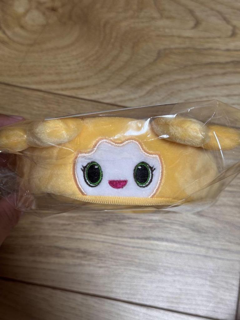 [USED] TWICE Lovely Jihyo Penlight Cover