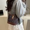 This Year's Popular Fashion Leopard Print Bag Women's 2025 New Spring Foreign Trend Messenger Bag Fashionable New Bucket Bag