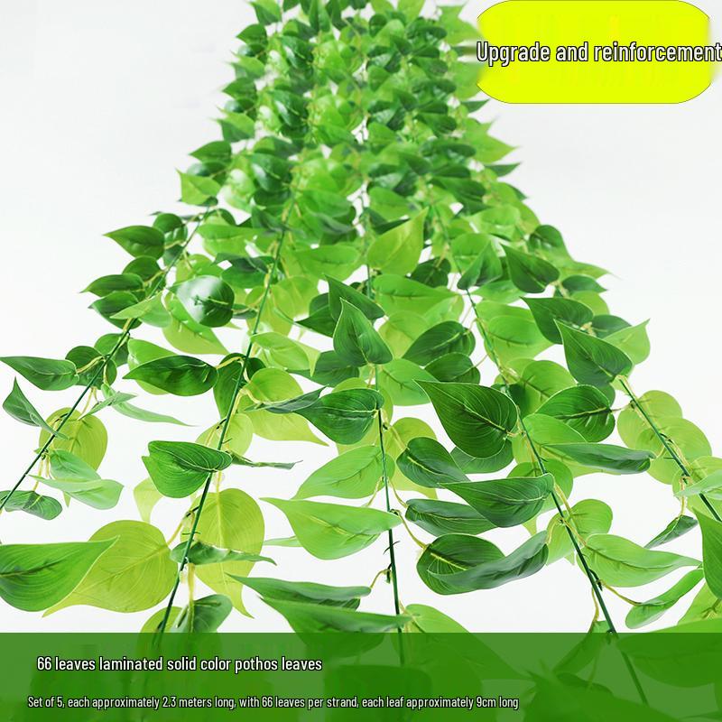 Artificial Rattan Morning Glory and Green Ivy Leaf Vine for Decoration