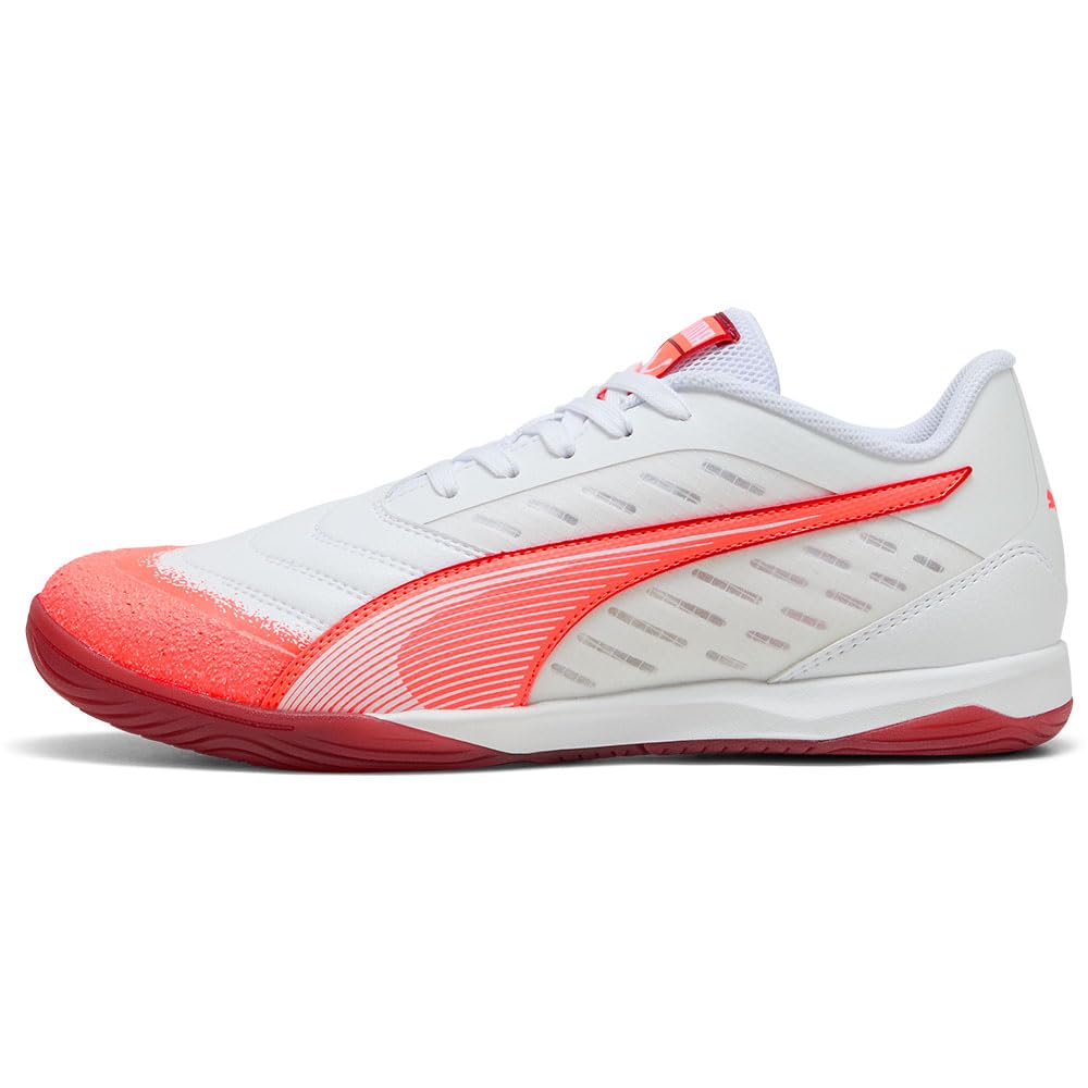 Puma Ibero IV_10829301_280