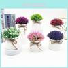 Plastic Veronicastrum Caulopterum Flower Pot With Rope Butterfly Tie For Home Decor And Garden Display