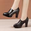 Size 32-43 Women's High Heels Shoes Genuine Leather Platform Black Work Shoes Woman Pointed Thick Heel Deep Mouth Casual Pump