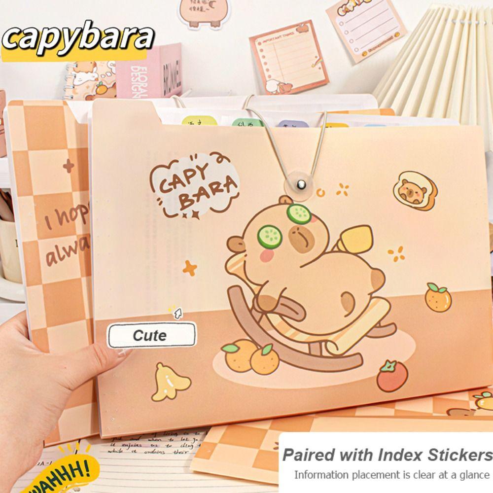 Capybara Test Paper Storage Folder Cartoon Document Bag New Portfolio