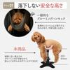 Iikuru Grooming Grooming Grooming Table for Dogs Hammock, Table,