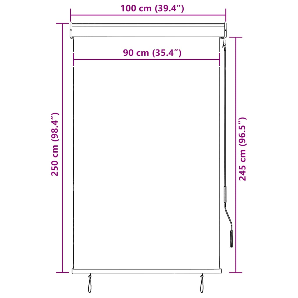 Outdoor Roller Blind 100 x 250 cm Anthracite