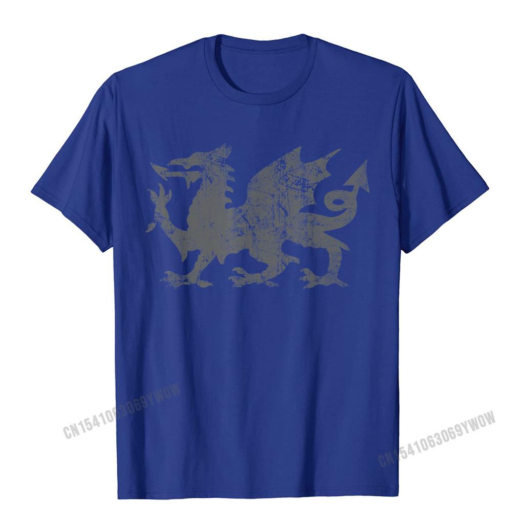 Welsh Flag Heraldry Dragon Welsh Soccer St Davids Day Wales TShirt Camisas Unisex 3D Printed Top TShirts For Adult Tops Tees