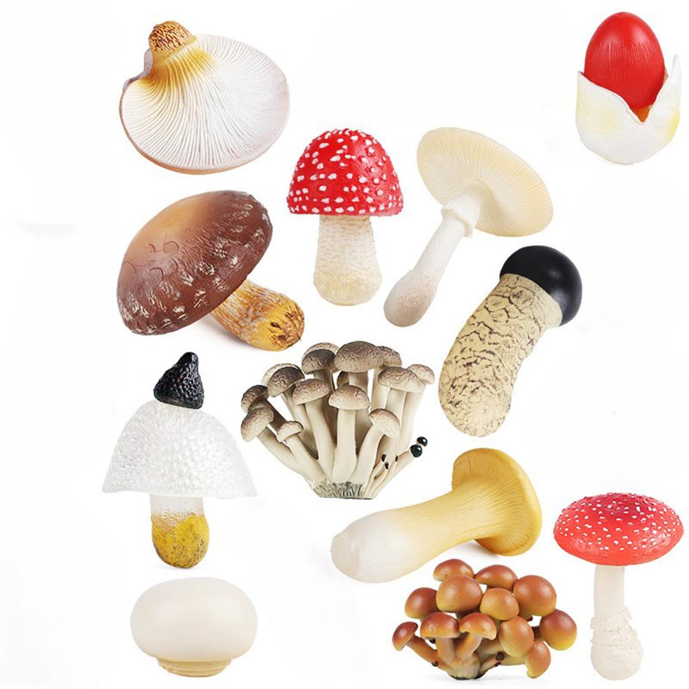 12 Pieces Mini Mushroom Figurines Set For Fairys Garden Decor Terrariums Outdoor Landscapes And Creative DIY Projects