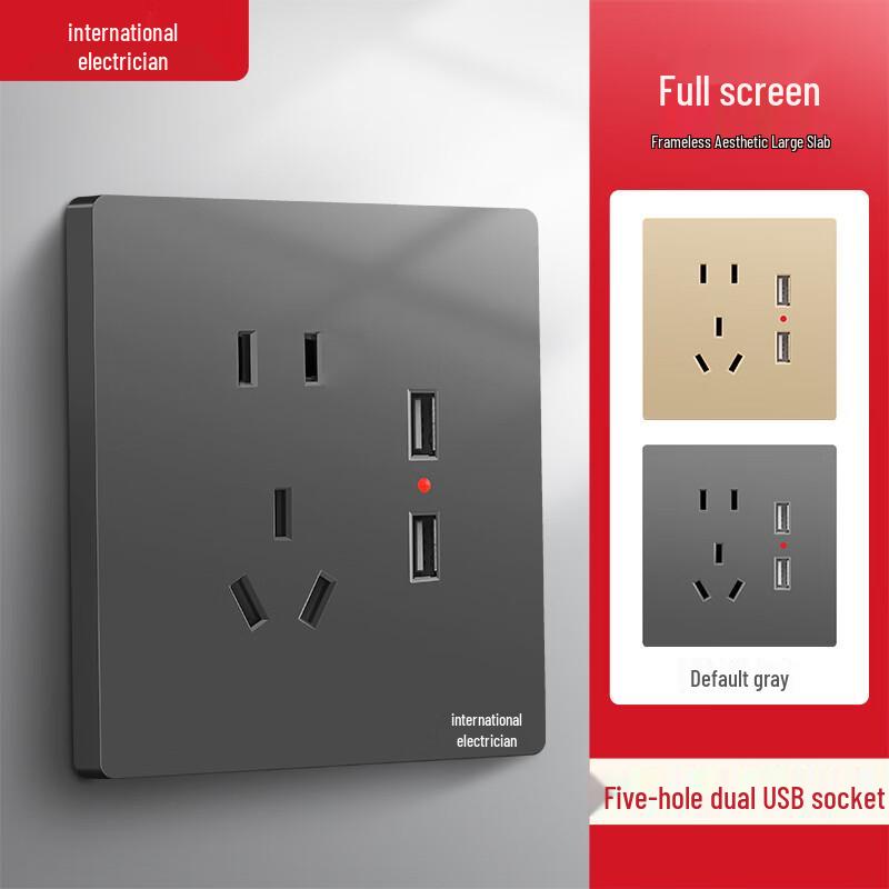 

Ruidetai 86-Type Grey Wall Socket with Dual USB (2-Pack) CN plug (adapter included)