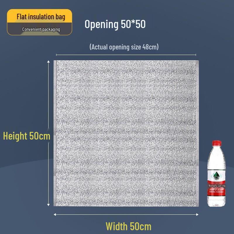 Disposable Aluminum Foil Insulated Cooler Bag