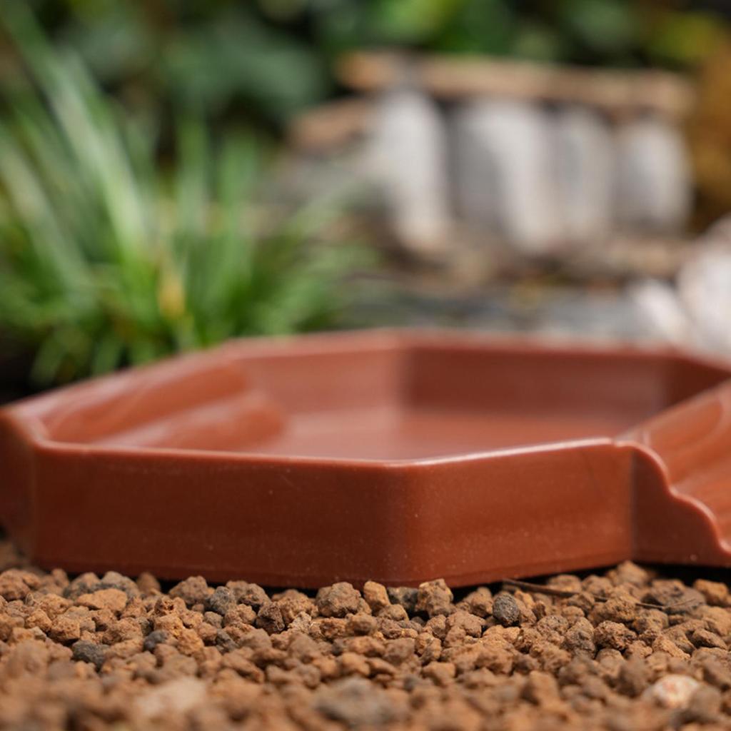 new Turtle Water Bowl Anti-Slip Reptile Pool Dish 2-in-1 Stain-Resistant Turtle Bathing And Feeding Tub For Snake Gecko Tortoise