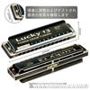 East Top Harmonica Blues Harmonica 13 Hole A Key Jazz Professional Adults Children Study Practice Brass Cover Canvas Case Lucky13 (PowerDraw-A)