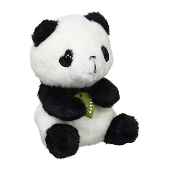 Sun Arrow Potte Panda K7612