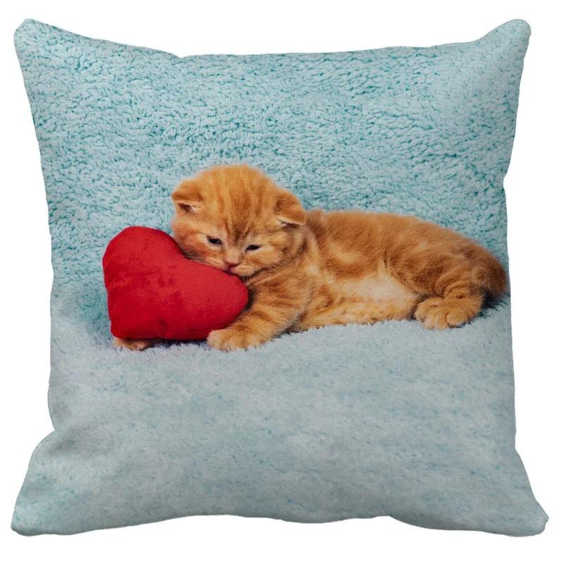 Cute Cat Pattern Decorative Pillowcase Living Room Office Decoration Home Pillowcase