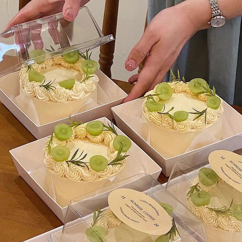 Changshen 4-inch Heightened Transparent Anti-fog Cake Boxes (50-pack)