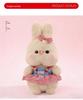 Adorable Rabbit Doll In Cute Skirt - Plush Toy with Comforting Cloth Outfit for Kids