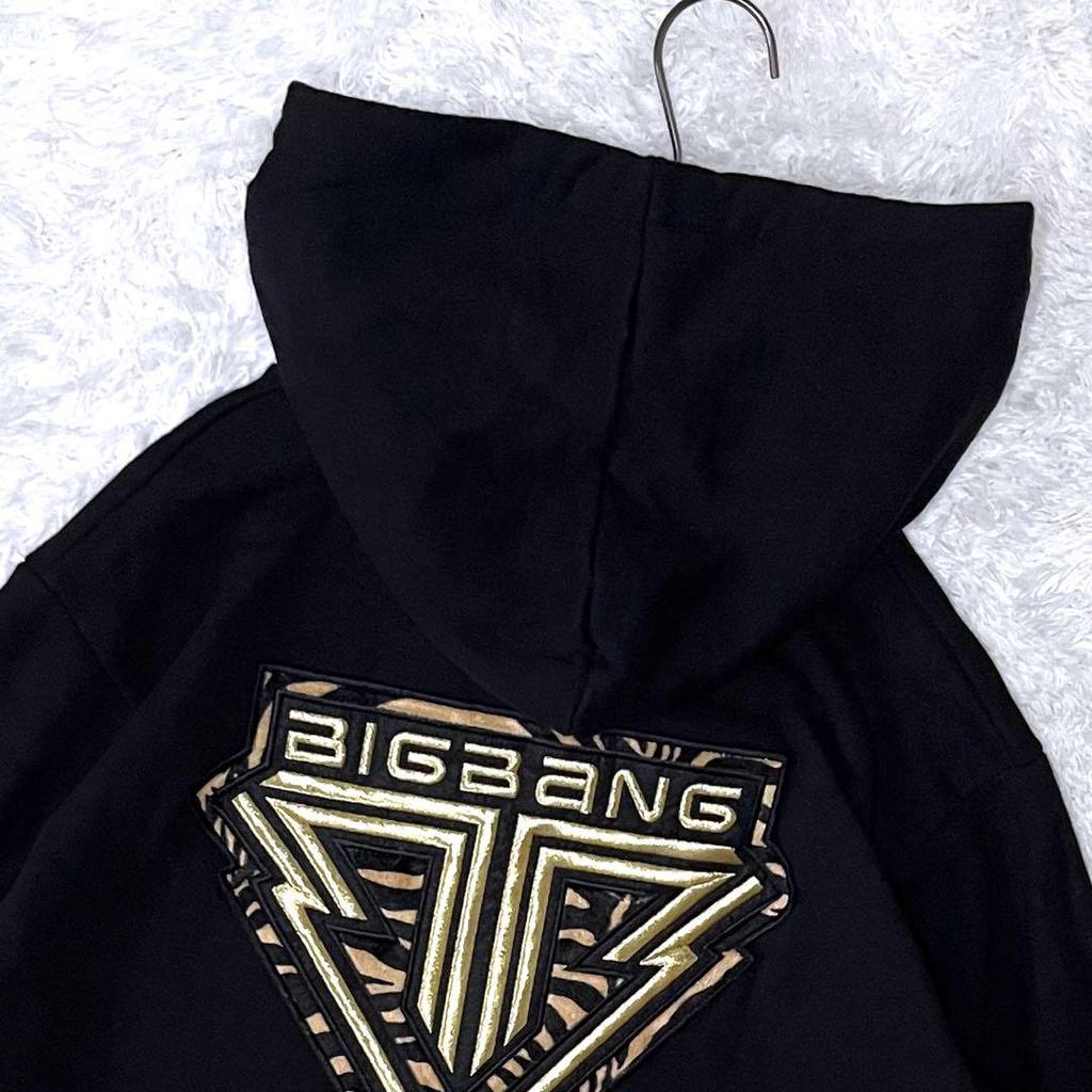 [USED] BIGBANG ALIVE TOUR 2012 Zebra Print Embroidered Hoodie, Size M