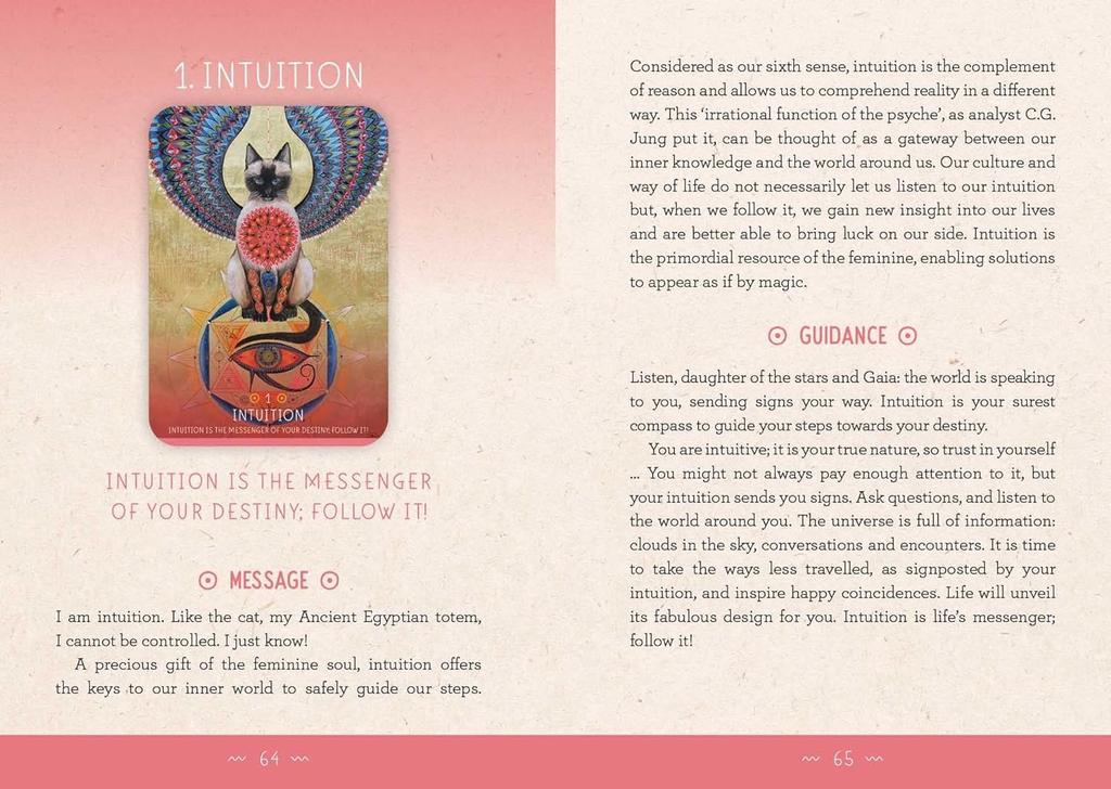 Kancharo 49-Card Oracle Card Set, Tarot Reading [The Medicine Woman Oracle], Includes Japanese Oracle Card Basic Instructions & Pouch (Authentic)