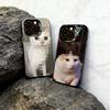 Funny Cat Phone Case  Phone Case For iPhone 17,16,15,14,13,12,11 Plus,Pro Max,XS,Colored Silver Plated Inside Cover