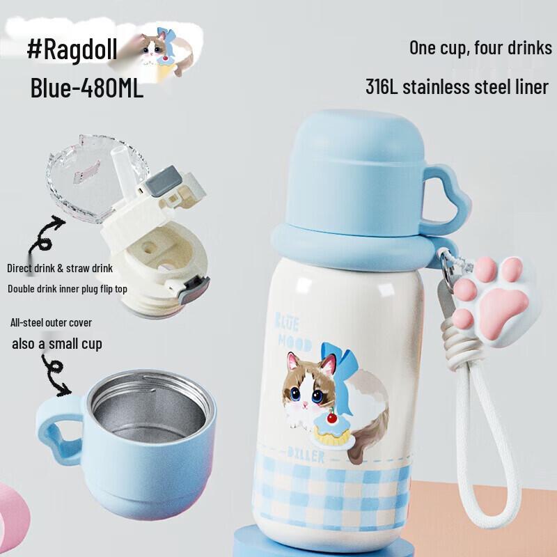 Diller Portable 316L Stainless Steel Insulated Straw Bottle